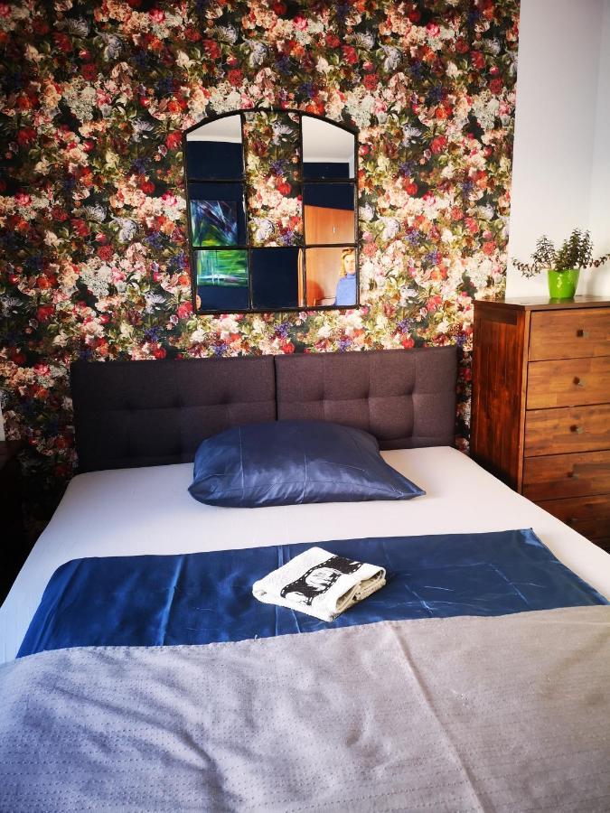 Hostel Mazurska 8A 奥尔什丁 外观 照片